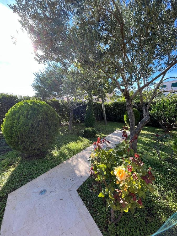 Apartman Stipic 1 Baška Voda Εξωτερικό φωτογραφία