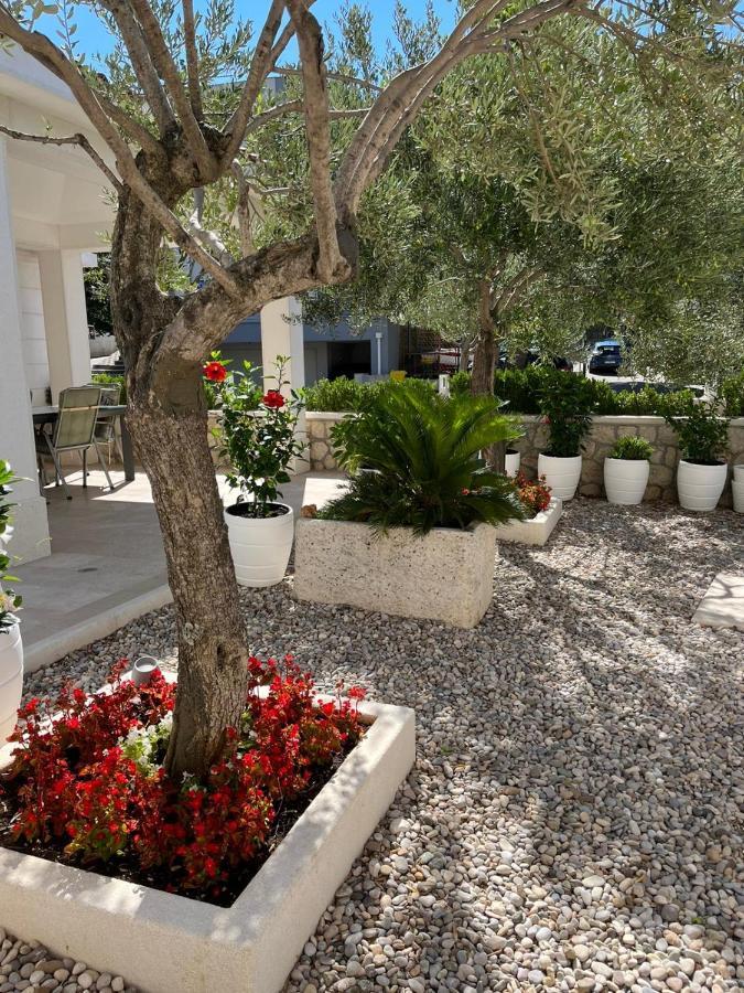 Apartman Stipic 1 Baška Voda Εξωτερικό φωτογραφία