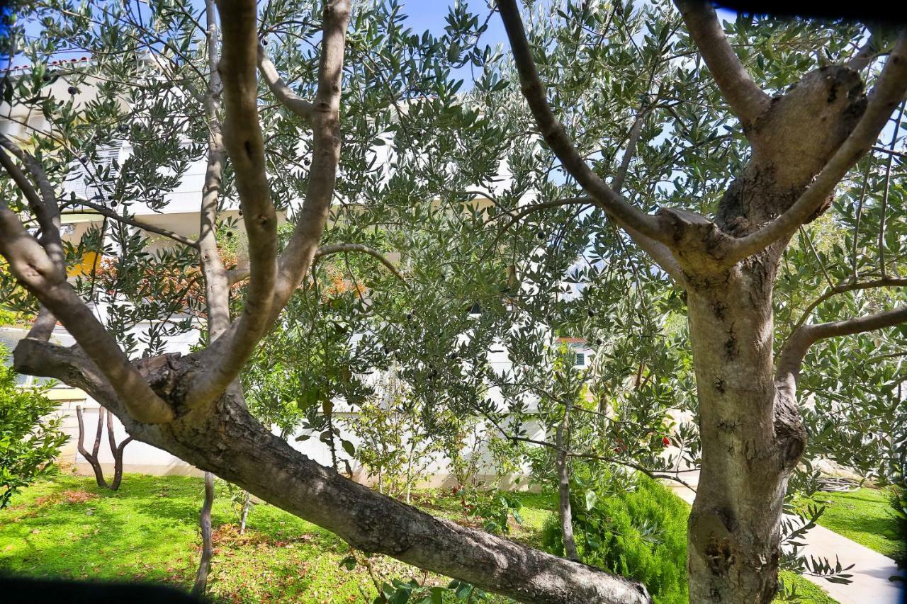 Apartman Stipic 1 Baška Voda Εξωτερικό φωτογραφία